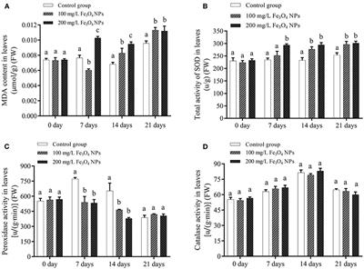 ICP-MS based metallomics and GC-MS based metabolomics reveals the physiological and metabolic responses of Dendrobium huoshanense plants exposed to Fe3O4 nanoparticles